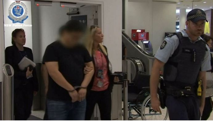 女代购被捕,中国代购扫光奶粉事件