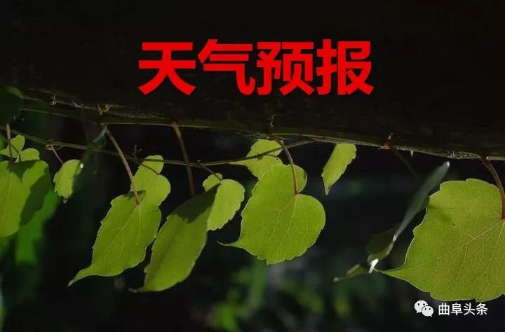 曲阜市东宏管业有限公司怎么样,山东曲阜东宏实业管业公司
