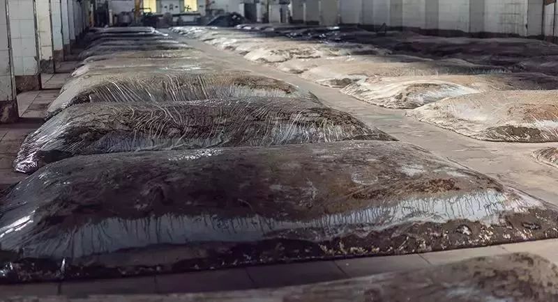 别感叹空留遗憾,趁现在带上好酒陪父亲喝两杯