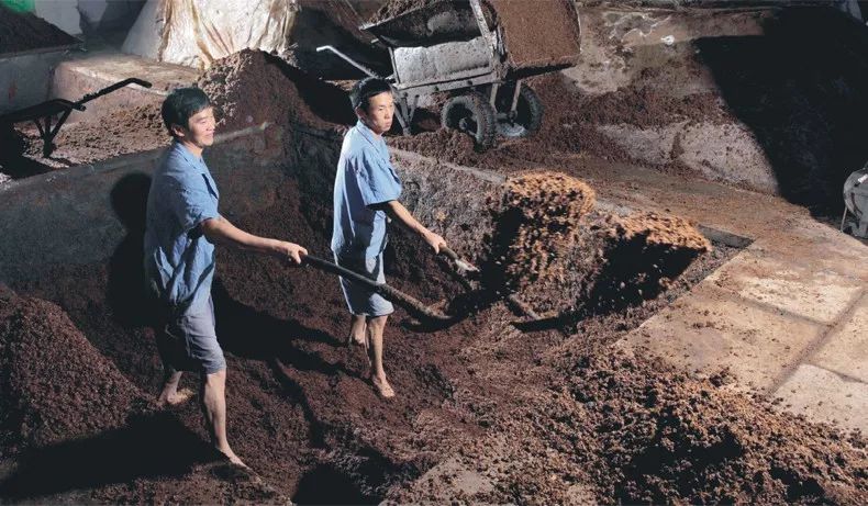 别感叹空留遗憾,趁现在带上好酒陪父亲喝两杯