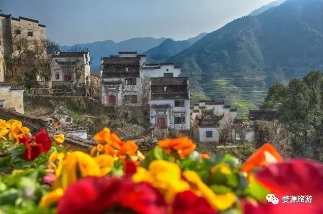 【五一·爽心游江西】婺源最全旅游攻略已为您备好,快来婺源“嗨”翻天!