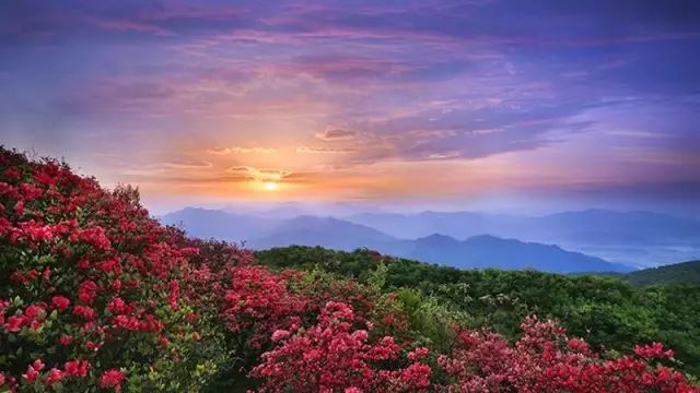 【五一·爽心游江西】婺源最全旅游攻略已为您备好，快来婺源“嗨”翻天！