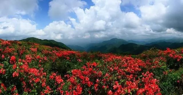 【五一·爽心游江西】婺源最全旅游攻略已为您备好,快来婺源“嗨”翻天!