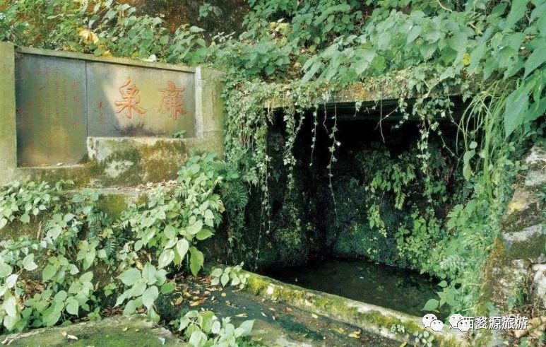 【五一·爽心游江西】婺源最全旅游攻略已为您备好,快来婺源“嗨”翻天!