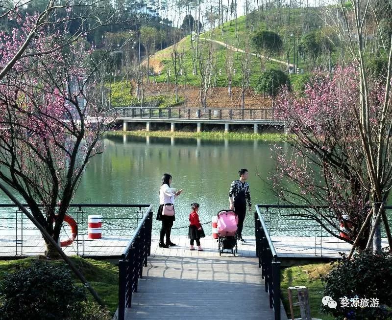 【五一·爽心游江西】婺源最全旅游攻略已为您备好,快来婺源“嗨”翻天!