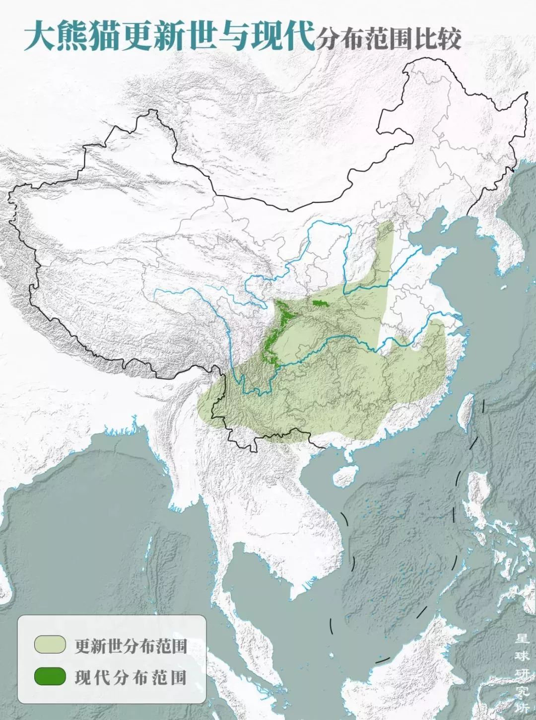 【荐读】熊猫：萌啥子哟，我是要雄起！