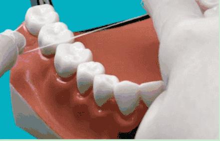 刷牙和使用牙线的科普文章,用牙线清洁牙齿的手法教学