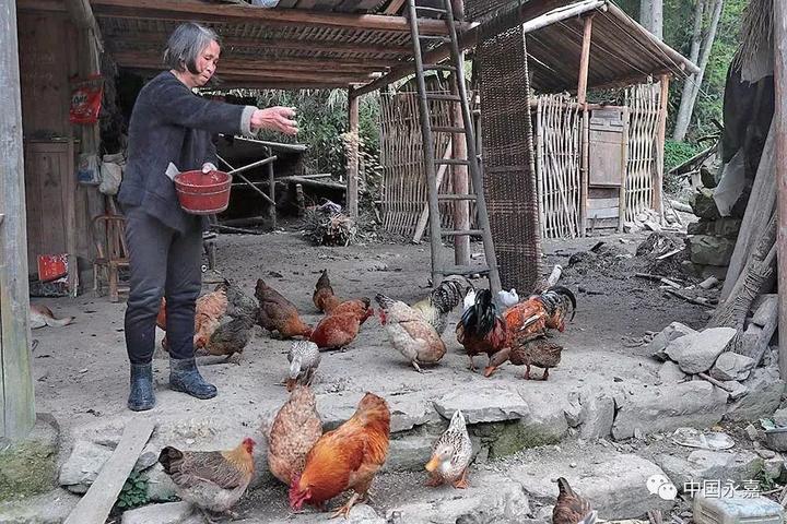 温州这座“孤岛”与世隔绝只有一户人家