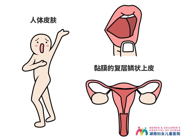 打完hpv疫苗一周后可以检查hpv吗,感染了hpv还可以打九价hpv疫苗吗