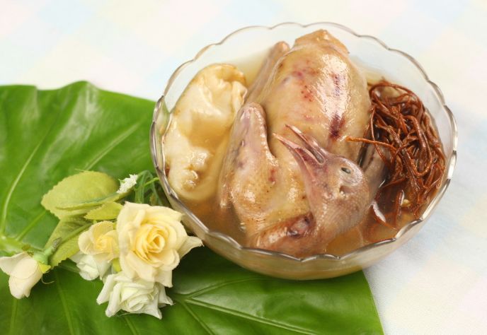 虫草花鸡汤补肾阳,肝肾阴虚可以吃虫草花吗