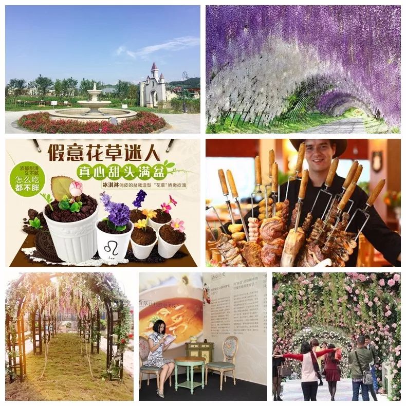 月季玫瑰花海门票免费送,五一花海门票免费送