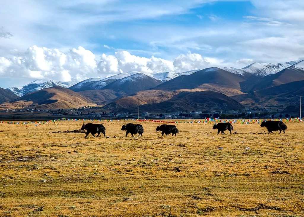 最漂亮的长宁县,中国最美十大县城长宁