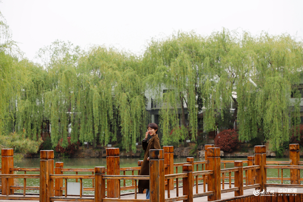 荐游|亭台碧树拥芳卉智圣汤泉觅春色