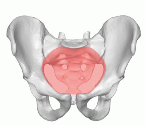 鍓栧浜ц繕鏄『浜у鏄撳ぇ鍑鸿,鍓栧浜т笌椤轰骇瀵瑰瓡濡堢殑鍗卞