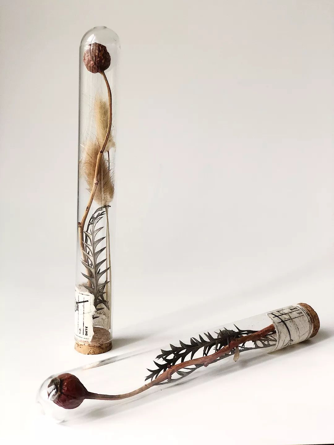 北京最美花店在哪里,北京哪个花店最美丽又好看