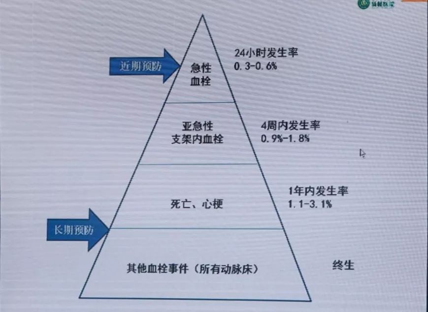 CCIF2019丨黄岚教授：急性/亚急性支架血栓的处理策略