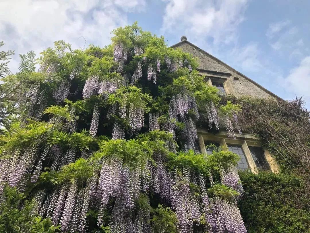 待天气晴好,伦敦阴雨天去哪旅游好