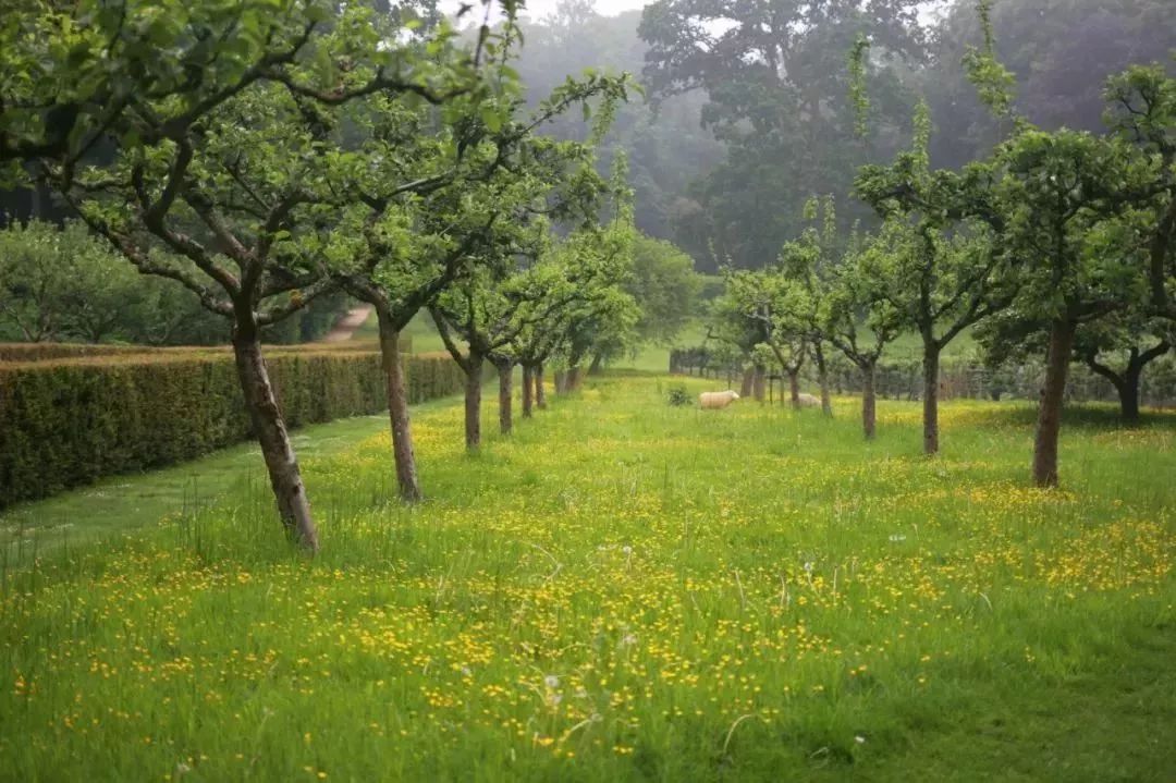待天气晴好,伦敦阴雨天去哪旅游好