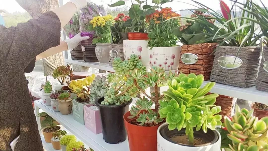 五一西安大型活动有哪些,五一西安准备的旅游大餐