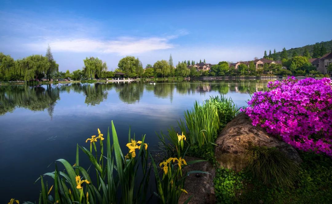 如果身边发现这种情况，赶紧拨打这两个“神奇”的号码