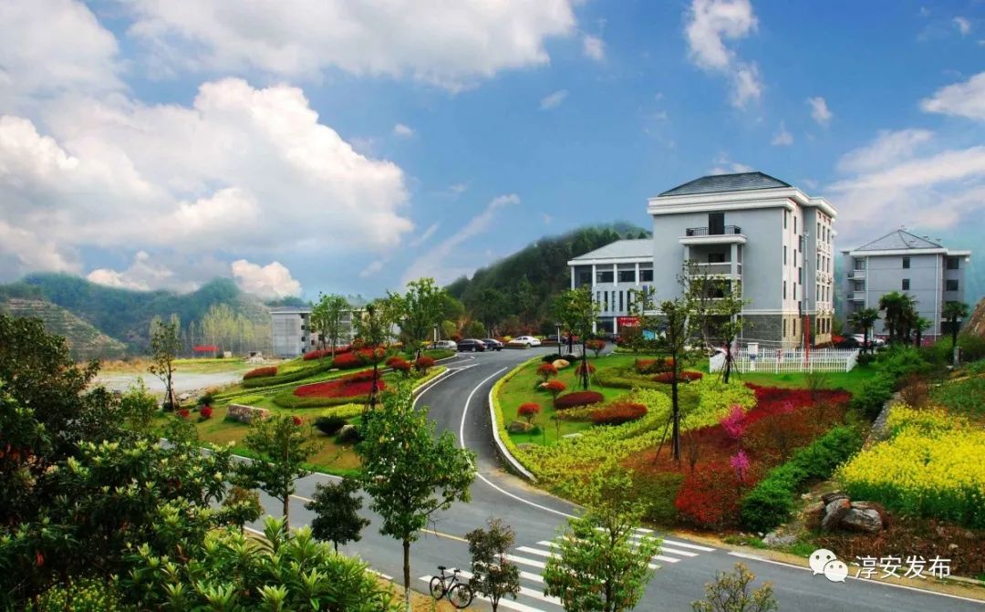 五一去千岛湖要预约吗,五一杭州千岛湖自驾游攻略