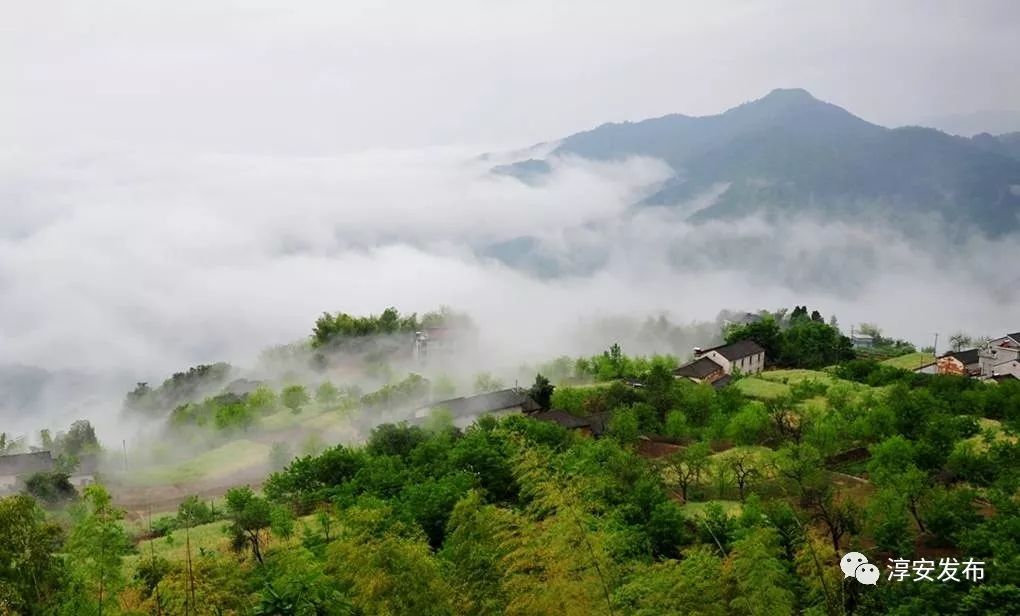 五一去千岛湖要预约吗,五一杭州千岛湖自驾游攻略