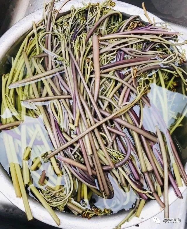 五一去千岛湖要预约吗,五一杭州千岛湖自驾游攻略