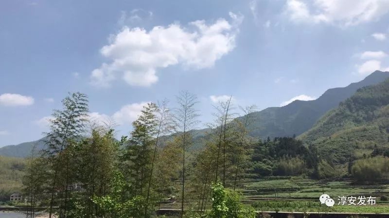 五一去千岛湖要预约吗,五一杭州千岛湖自驾游攻略