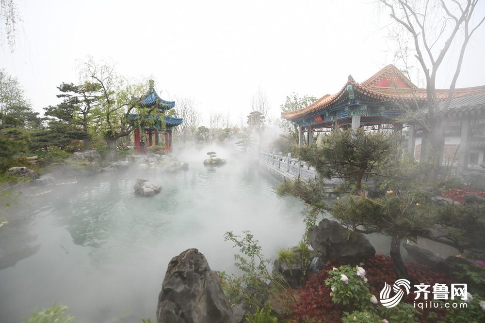 鱼菜共生阳台技术教程,鱼菜共生系统花卉图片