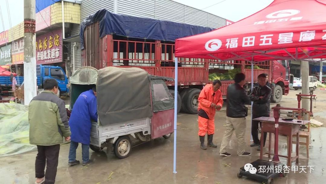 宿羊山10万亩蒜苔迎来采摘季，今年价格翻了好几番！