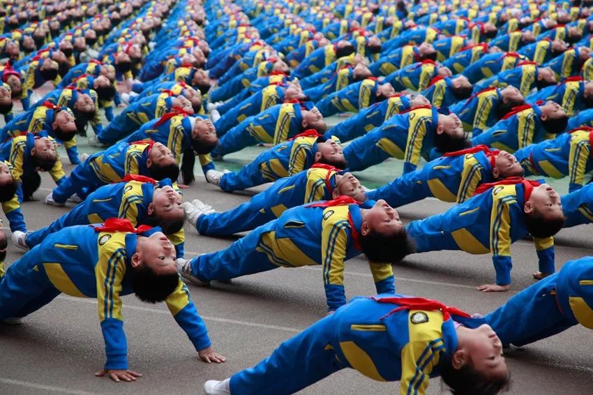 推动河南教育高质量发展提供支撑,办好人民满意的教育微视频