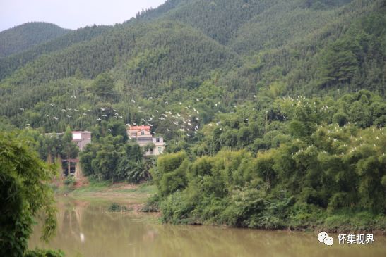 肇庆宜居城市,中国最有幸福感的县城