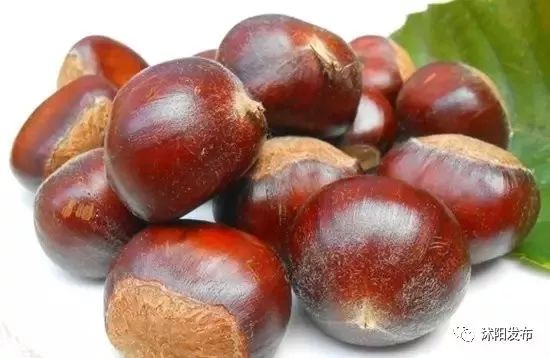 江苏沭阳春日旅游攻略图,沭阳旅游攻略自由行