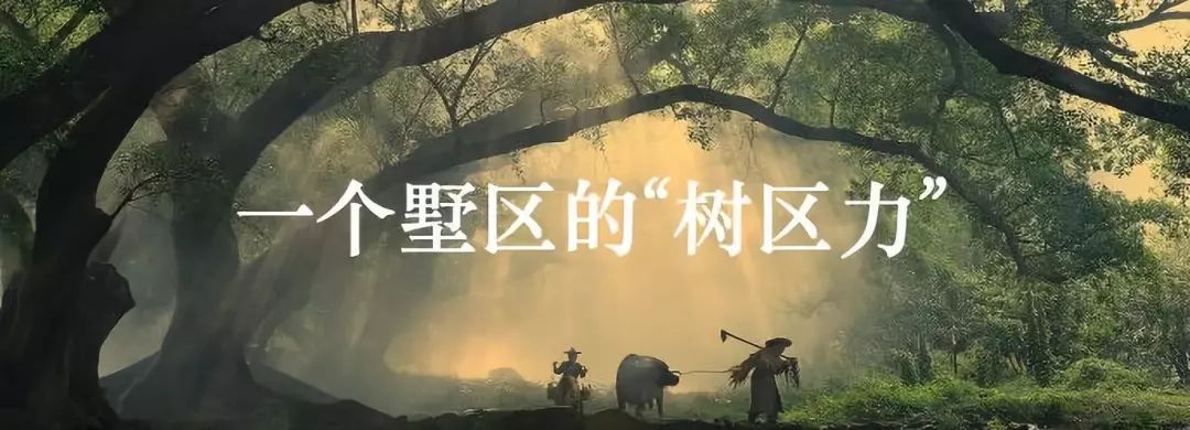 东戴河佳兆业齐步走,佳兆业能不能挺过2023年