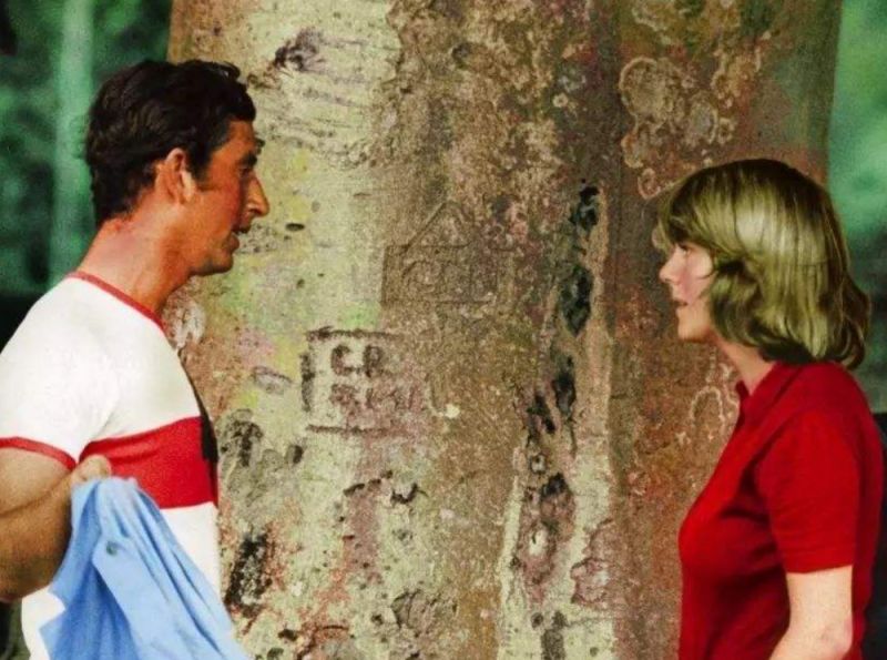 一分钟了解一下戴安娜的一生,戴安娜的真实人生