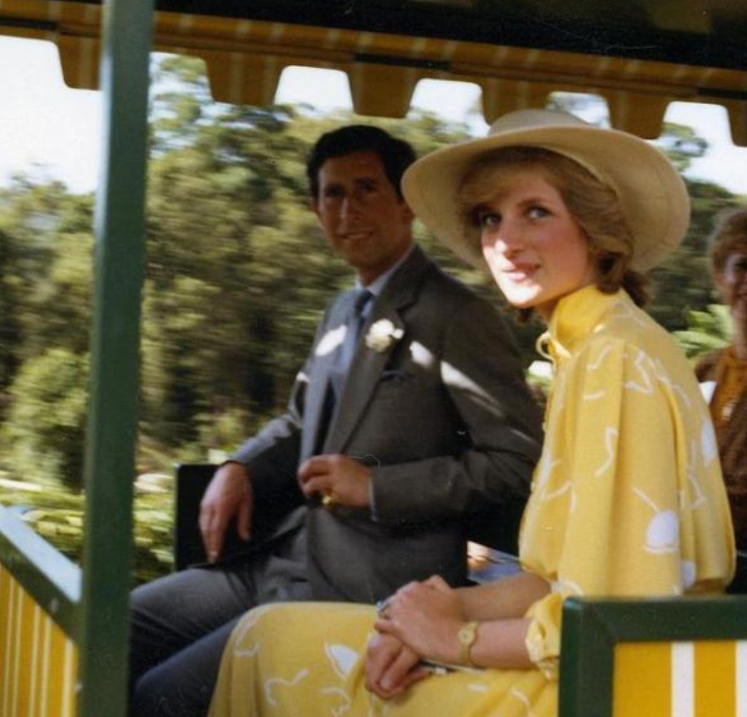 一分钟了解一下戴安娜的一生,戴安娜的真实人生