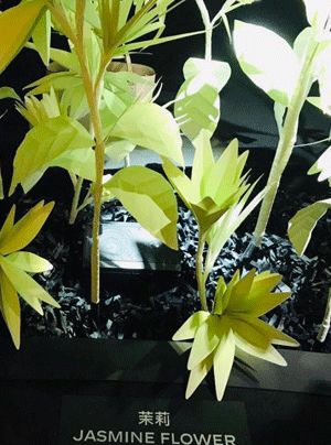 这些神仙级的香奈儿,我们有生之年可能都不会再见到第二次了