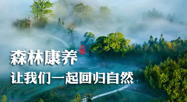 家长看过来~将乐县总园艺术分园招生补录摸球说明