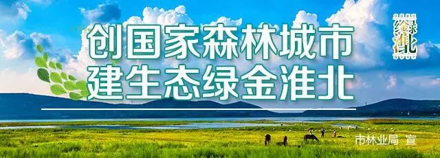帮别人办信用卡收好处费犯法吗,帮朋友还信用卡收取费用犯法吗
