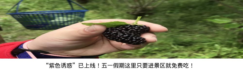 鍙堟槸鍒汉瀹剁殑瀛╁瓙瀹屾暣瑙嗛,鍙堟槸鍒汉瀹剁殑