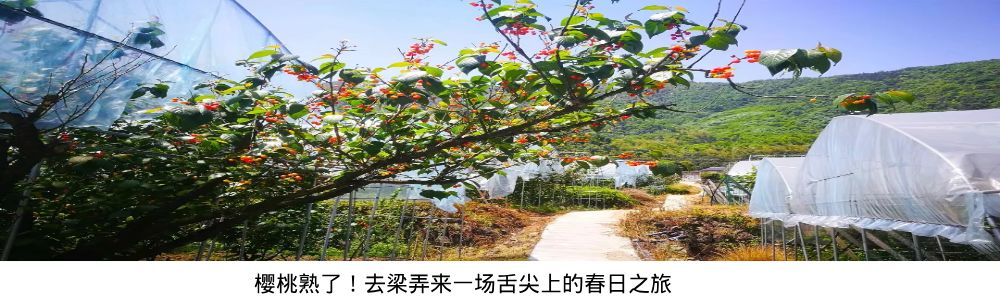 鍙堟槸鍒汉瀹剁殑瀛╁瓙瀹屾暣瑙嗛,鍙堟槸鍒汉瀹剁殑