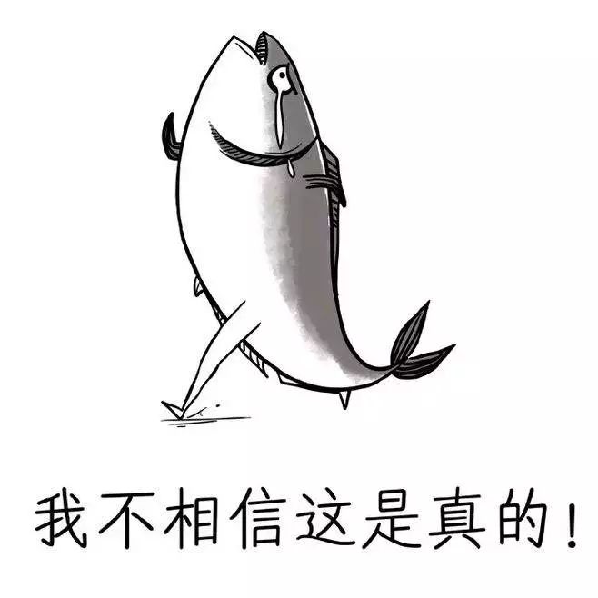 防城港鱼虾蟹,防城港吃鱼虾蟹