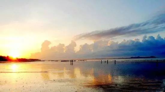 防城港鱼虾蟹,防城港吃鱼虾蟹