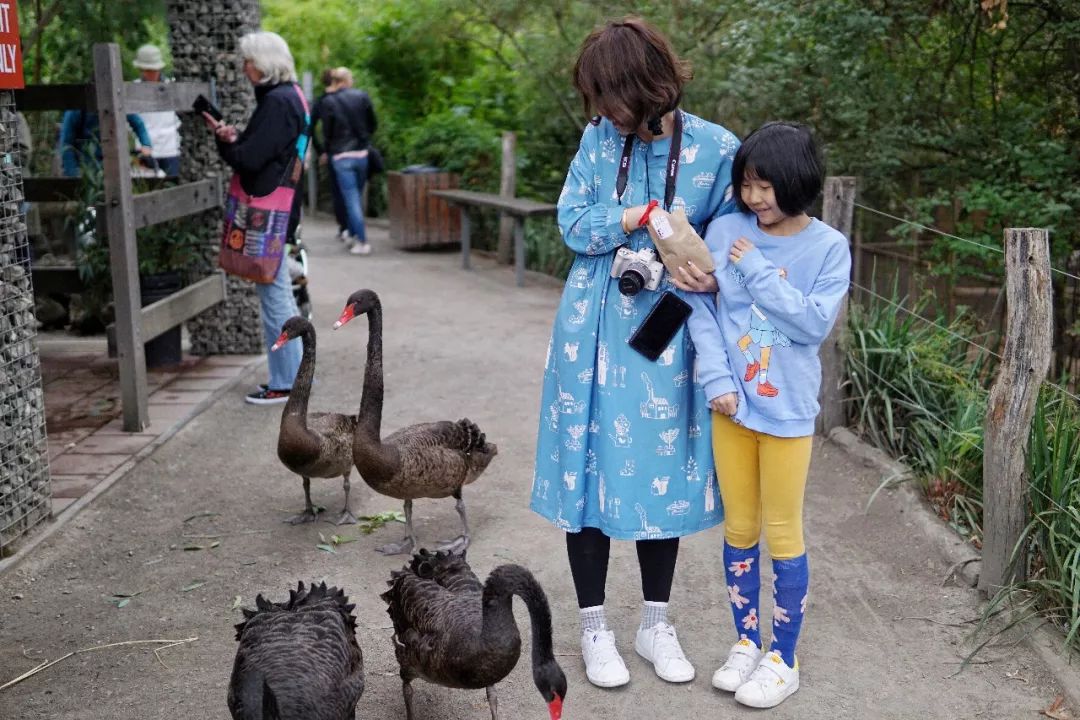 澳洲旅行穿什么好？买什么好？一文解答你的疑惑