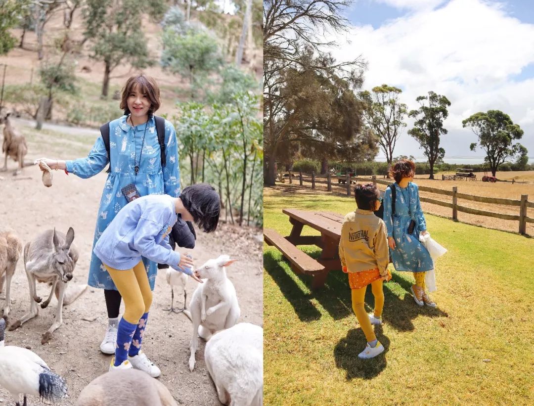 澳洲旅行穿什么好?买什么好?一文解答你的疑惑