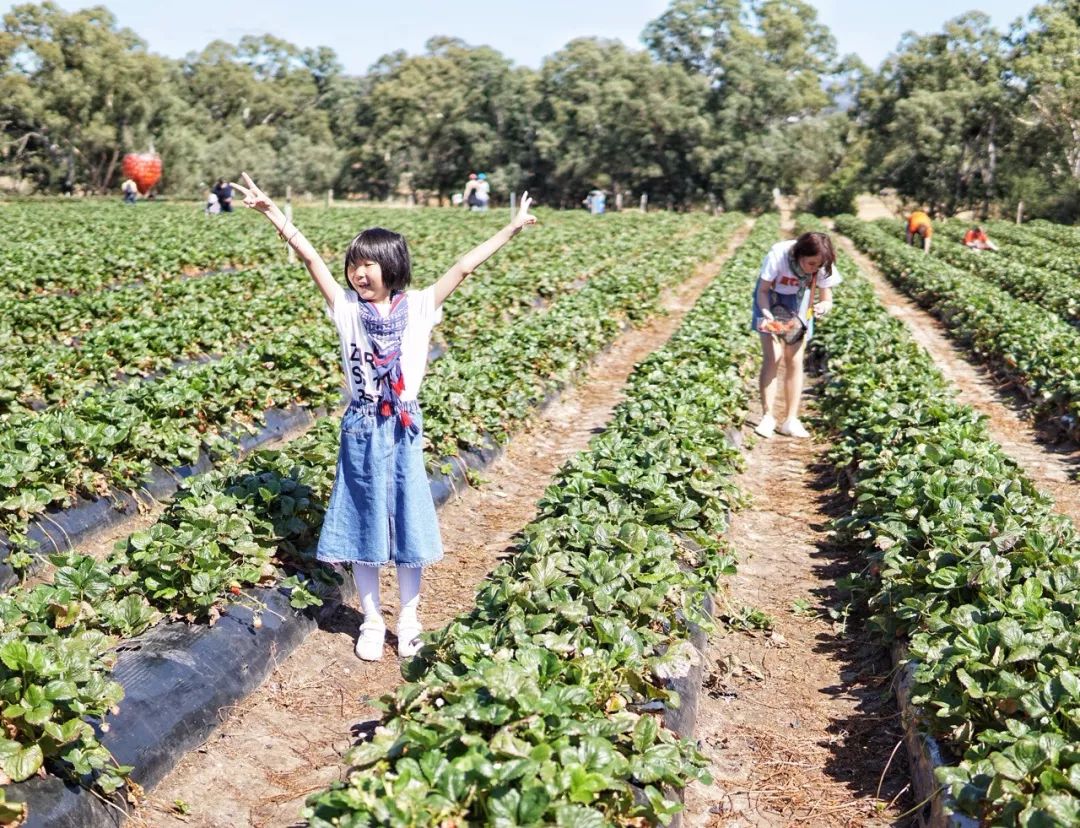 澳洲旅行穿什么好？买什么好？一文解答你的疑惑