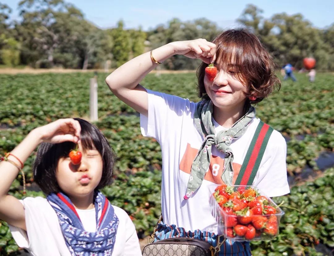 澳洲旅行穿什么好?买什么好?一文解答你的疑惑