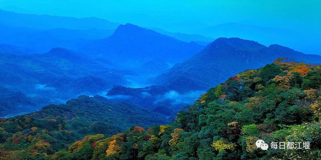 都江堰青城康养,都江堰青城康养中心