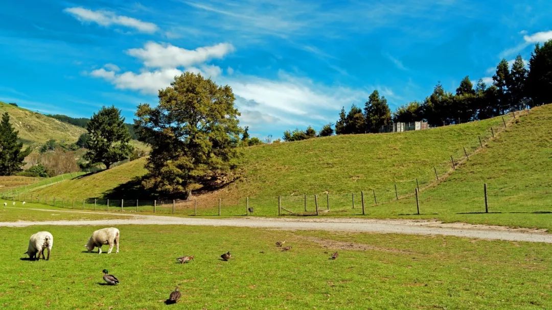 在深圳可以买公寓吗,深圳商住房不动产权证