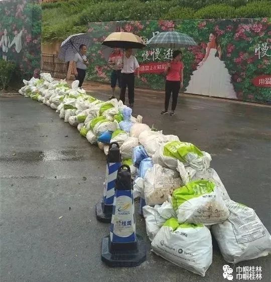 花开漓江丨我的挂职岁月